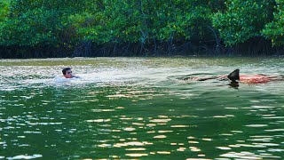 Bushcraft Survival Beach Found Baby Shark in Mangrove