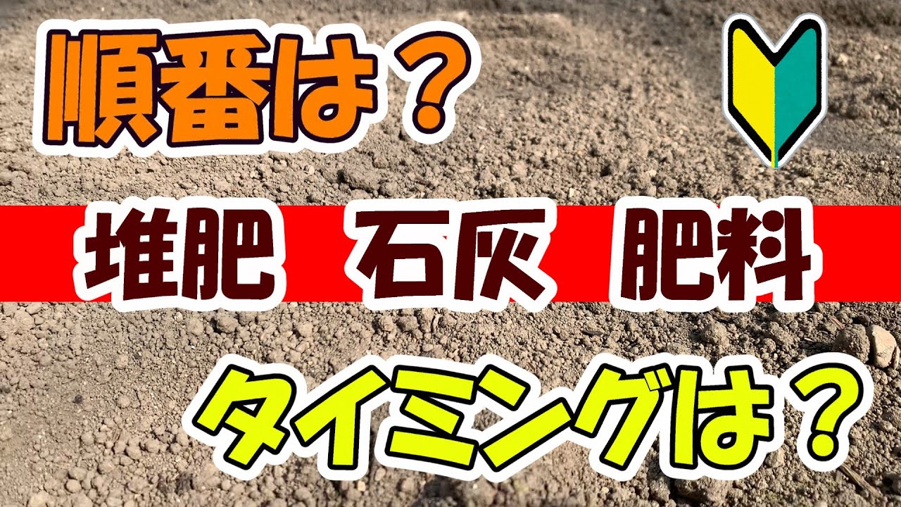 【家庭菜園】堆肥、石灰、肥料、どの順番でいつ入れるの？たわらファームではこんな方法でやっちゃってます