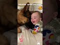 Sweet moments between dog and baby。#DogAndBaby #Heartwarming #SweetMoments