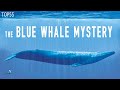 5 Most Mysterious & Unexplained Oceanic Mysteries