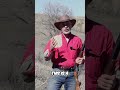 Shotgun W Three Barrels 