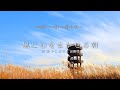 途中広告なし【Playlist】風に心をまかせる朝 🌾 | 作業用BGM | Chill & Relax
