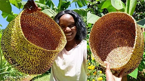 How To Make A Basket From Home Grown Banana Plant . From Start To Finish.