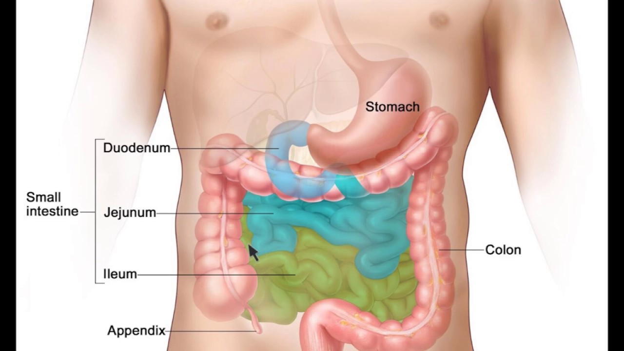 Hinchazón intestinal