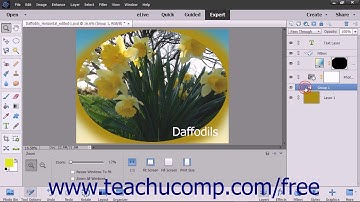 Photoshop Elements 15 Tutorial Grouping Layers Adobe Training