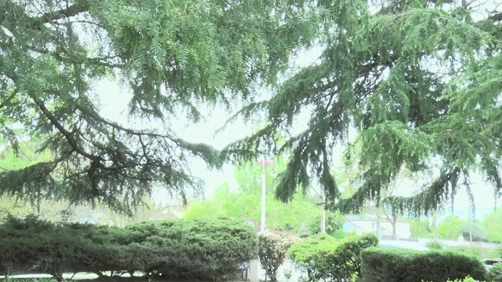 PIA GHAR AJA