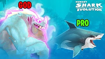 NOOB vs PRO vs HACKER In HUNGRY SHARK WORLD!? (MAX LEVEL SHARKS UNLOCKED!)