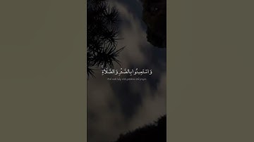 اجمل حالات واتس اب بصوت القارئ عُمير الشميم 🤩🤍