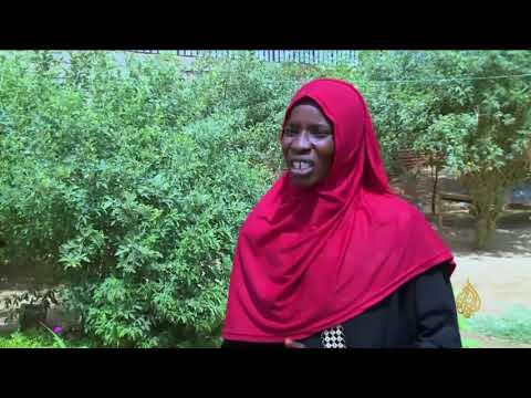 هذا الصباح المرأة الريفية بالسودان نموذج الصبر على قسوة الحياة