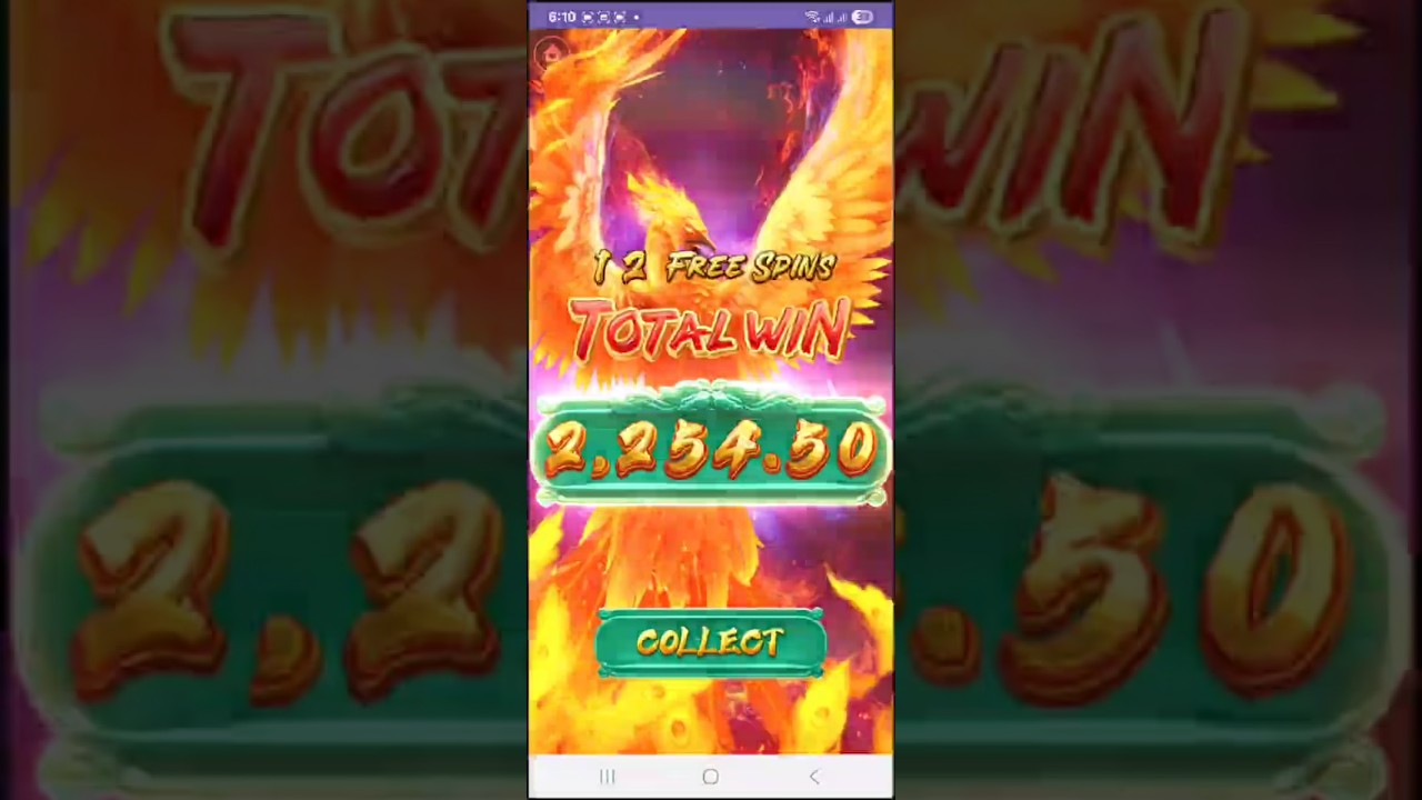 tai bai royal casino ⚡OG- PHOENIX RISES Pg slotgames
