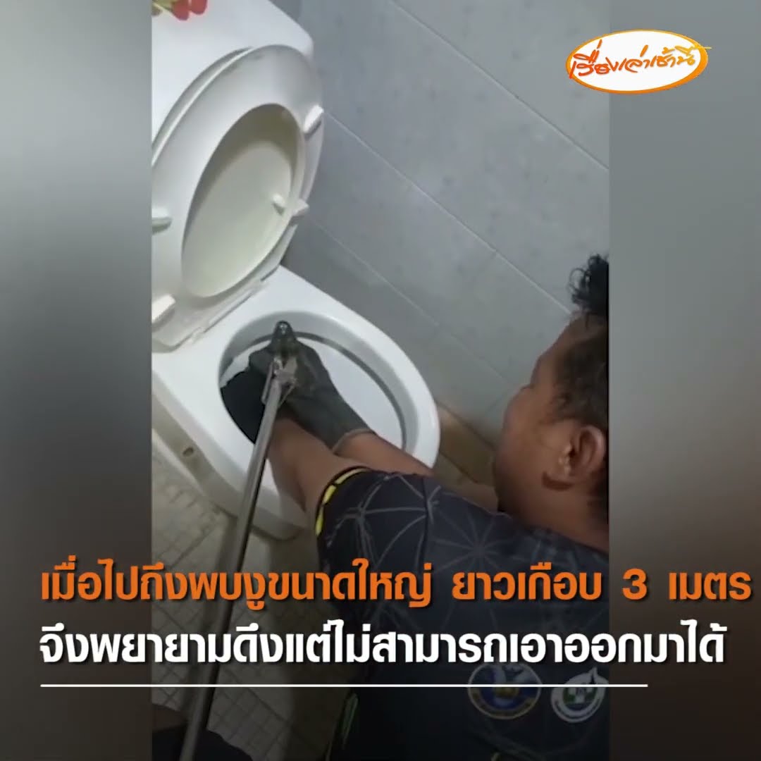 จนท.ทุบชักโครกจับงู  เจ้าของบ้านผวาเจองูตัวยักษ์