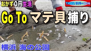 【おかず０円生活】Go To マテ貝捕り♪