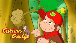 don t break branches curious george kids cartoon kids movies