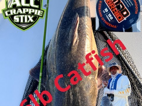 How I caught a Giant Monster Catfish using 8' ACC Crappie Stix