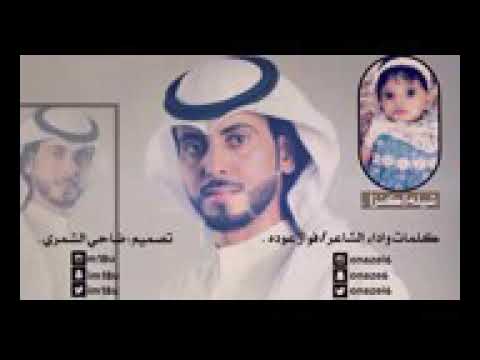 شيلة كنز
