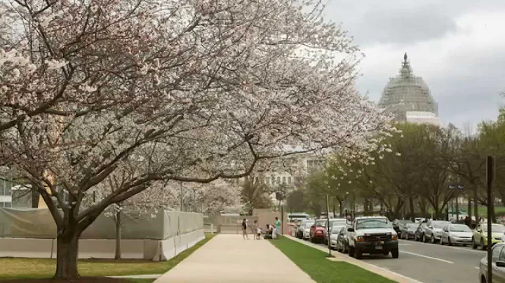 Road Trip From NY to Washington DC