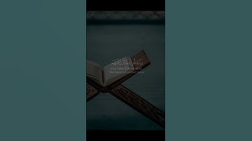 القارئ ياسر الدوسري