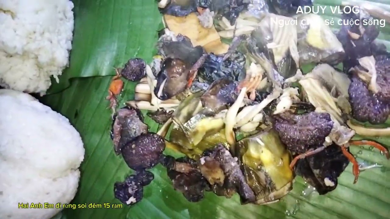 Trải nghiệm soi đêm âm 15 răm 