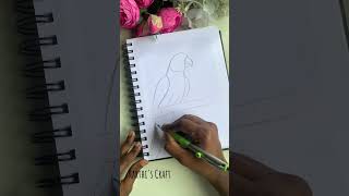 How to draw a Parrot in Easy Way 🦜#shortsfeed #shortsvideo #drawingeasy #tutorialtamil