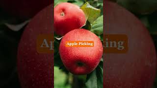 Celebrity 5 Fall Date Ideas 🍂 Subscribe for more! #dateideas #datenightideas #falldates #relationship Wealth