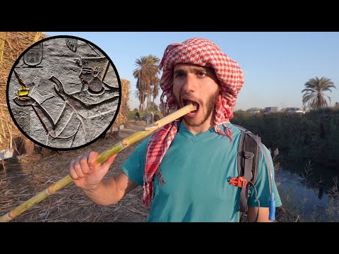 How I got addicted to this ancient Egyptian drug