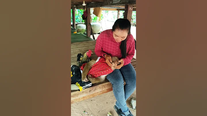 Well Great video Super SokYaa Very Adorable & Harmony Animals Around The World #shorts