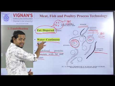 Basic Meat Processing Procedures