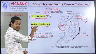 Basic Meat Processing Procedures