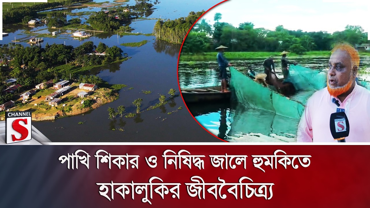 পাখি শিকার ও নিষিদ্ধ জালে হুমকিতে হাকালুকির জীববৈচিত্র্য | Channel S News