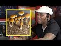 Kevin Gates on Psychedelic Mushrooms Changing His Life, DMT & More