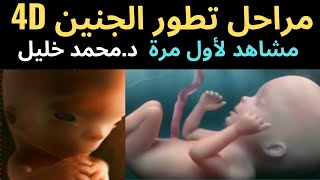 شاهد مراحل تكون الجنين من الأسبوع الأول إلى مرحله الولاده  مشاهد تراها لأول مرة (خلق الجنين) 4D