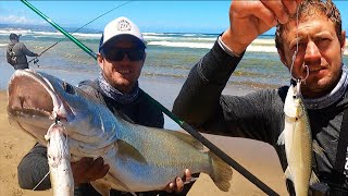 Fishing FOR KOB with LIVE MULLETS IN SHALLOW WATER! The Kob finally showed up!