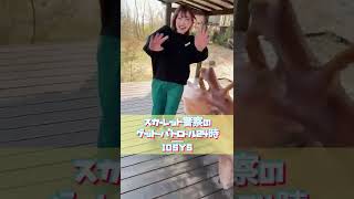 大自然の中でTikTokで流行っている曲歌ってってお願いしてみたら…#shorts