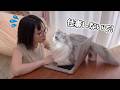 なんとしてでも仕事を止めたい子猫の取った行動が可愛すぎましたw