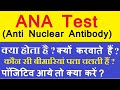 Ana       ana      anti nuclear antibody test in hindi 