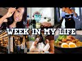 A WEEK IN MY LIFE IN CHINA 🇨🇳 || FINAL SEMESTER OF UNI, TRYING OUT NEW RESTAURANTS 🍱 + more