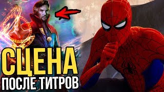 Человек-паук: Через вселенные - разбор сцен после титров. Человек-паук: Через вселенные - разбор сцен после титров.