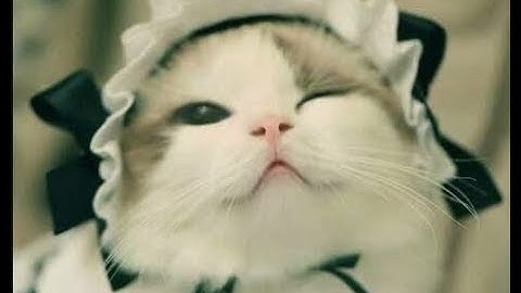 Polina2coeur hacking on datpixel.