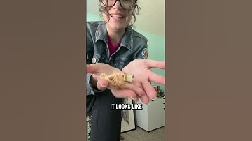 I accidentally washed this skein of floss a dozen times!