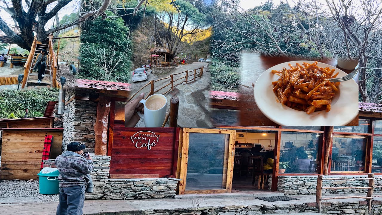 Beautiful cafe at pauri ️ Forest farm cafe ️ - YouTube