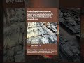 EXPLORING THE HIDDEN TANK GRAVEYARD | WW2 Tactics