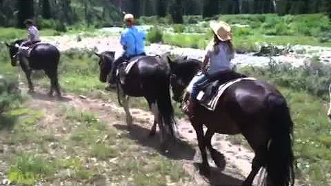 Horseback riding in Wyoming