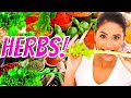 9 Herbs to Help Your Weight loss Success! - herbal plants and weight loss  🍀