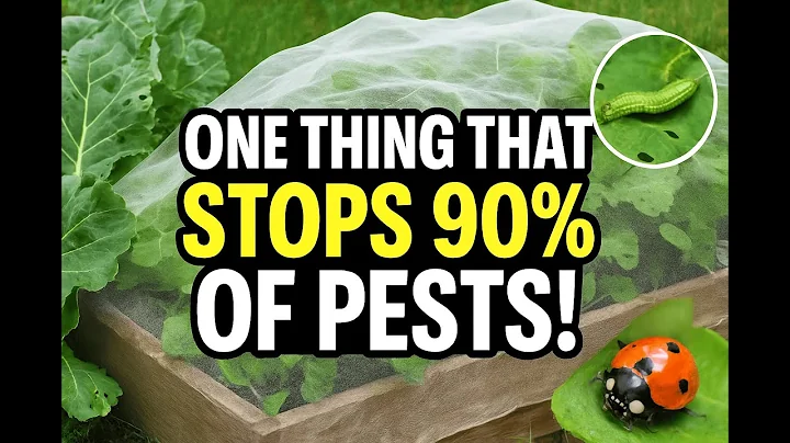 Doing This ONE THING Eliminates 90% of PEST PROBLEMS in the Garden