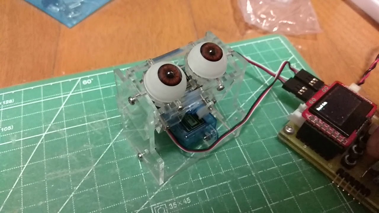 Doll eyes motion test 11 YouTube