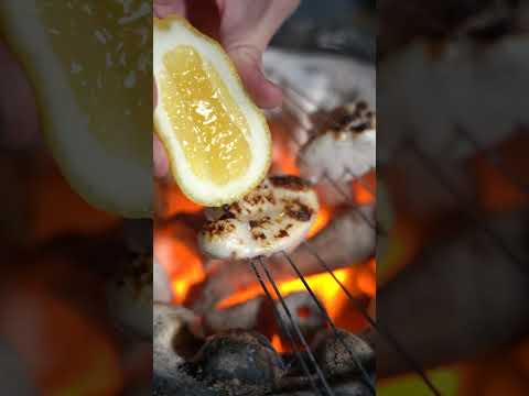 【七輪】トラフグの焼き白子がうますぎる！ #seafood #asmr #bbq #pufferfish