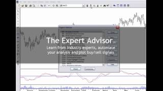 What is MetaStock