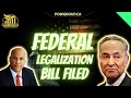  federal legalization bill filed by schumer  other democratic senators 