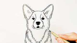 How to Draw a Corgi Dog