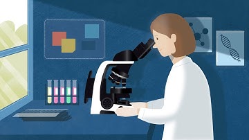 Nikon ECLIPSE Si Educational Microscope